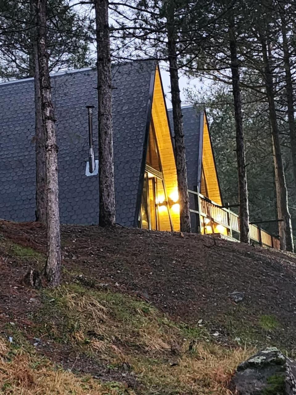 Vilat Alpine Golden Gjinar Villa Elbasan
