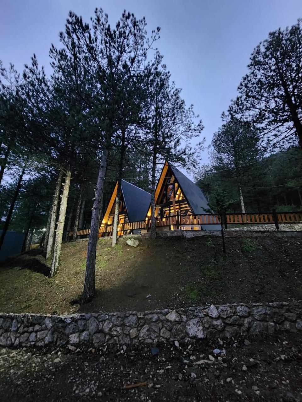 Vilat Alpine Golden Gjinar *